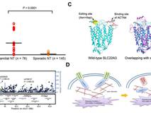 黑料网
付利教授团队在《PNAS》杂志发表研究论文