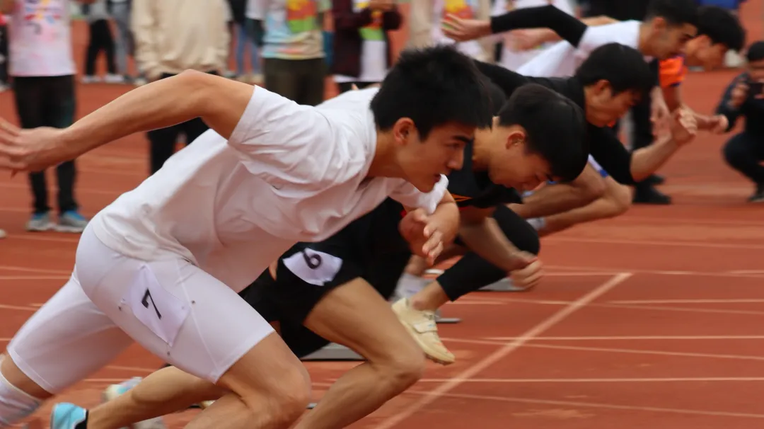 202403061648032608.png 202403061648032608.png