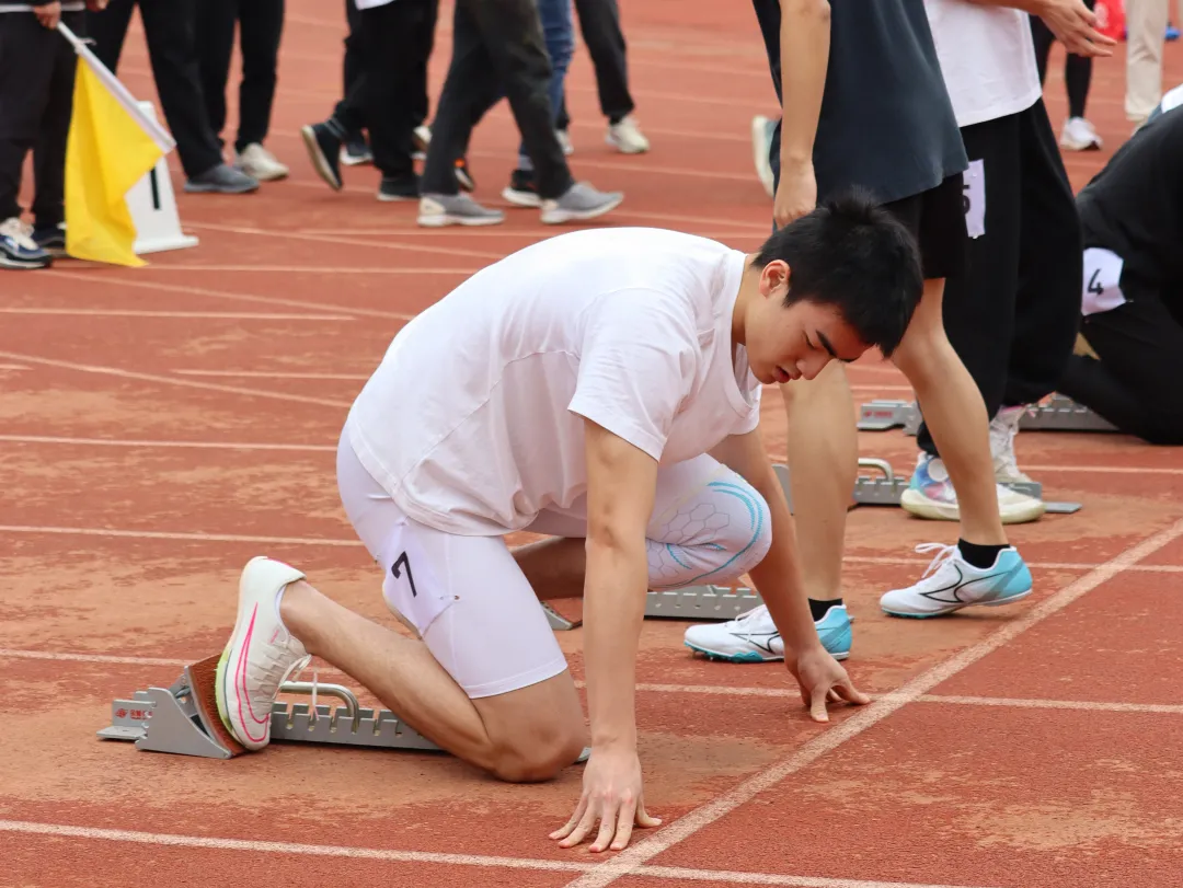 202403061648043726.png 202403061648043726.png