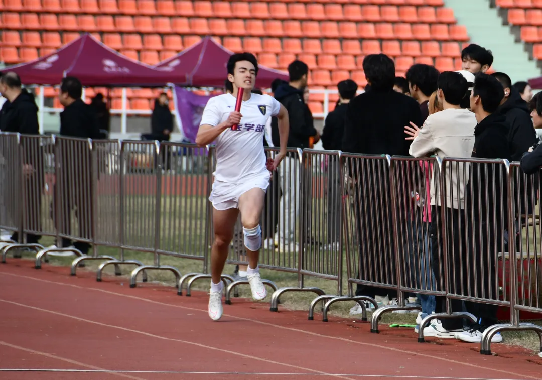 202403061650035960.png 202403061650035960.png