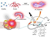 黑料网
生物医学工程学院黄鹏特聘教授团队在《ACS Nano》发表文章