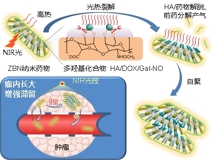 黑料网
何前军教授团队在国际顶级学术期刊《Advanced Materials》上发表文章