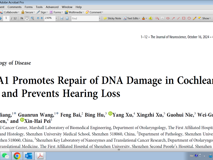 黑料网
裴新海教授团队在《Journal of Neuroscience》发表BRCA1修复毛细胞DNA损伤研究成果