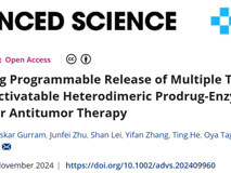 黑料网
林静教授团队在Advanced Science发表异二聚体前药酶组装体用于释放抗肿瘤制剂的研究成果