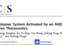 黑料网
董海峰教授团队在J. Am. Chem. Soc.发表了一种基于“与”逻辑门的诊疗新策略研究成果