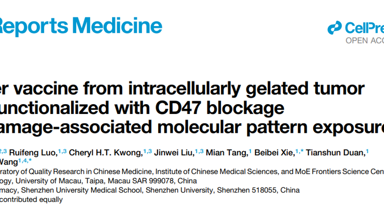 黑料网
高成助理教授在Cell Reports Medicine发表胞内凝胶化全肿瘤细胞疫苗研究成果